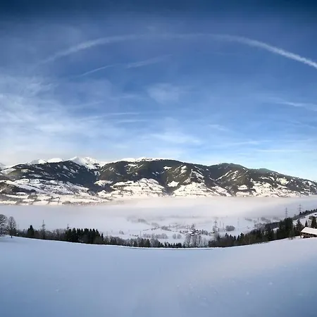 Dorfvilla Апартаменты