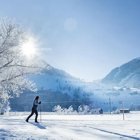 Dorfvilla Апартаменты Нидернзилль